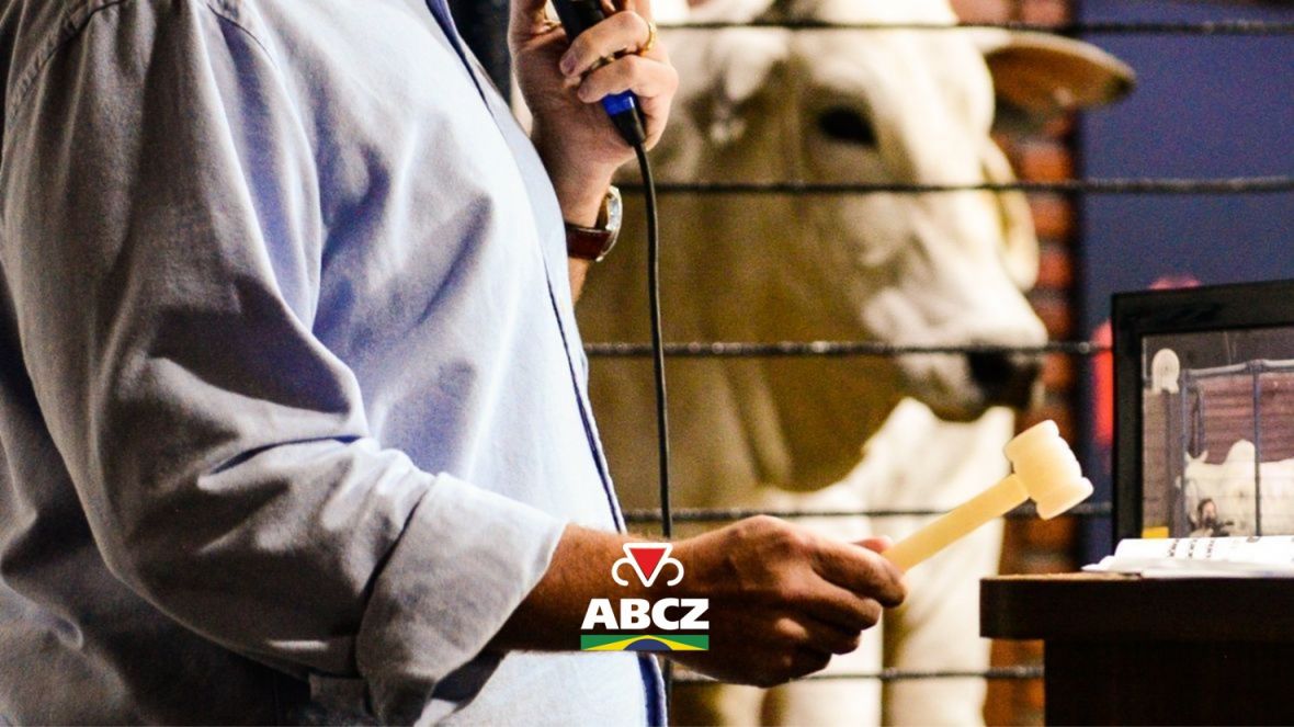 Leilões e shoppings da 19ª ExpoGenética começam a partir de 11 de agosto
