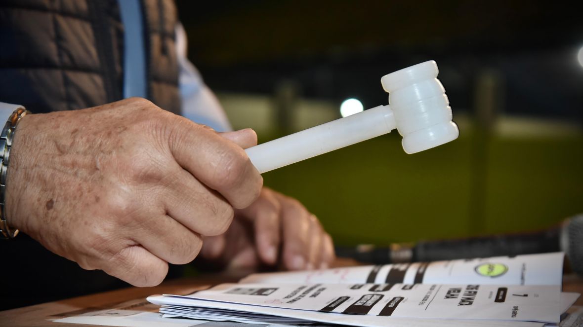 17ª ExpoGenética: leilões superam marca de R$ 75 milhões 