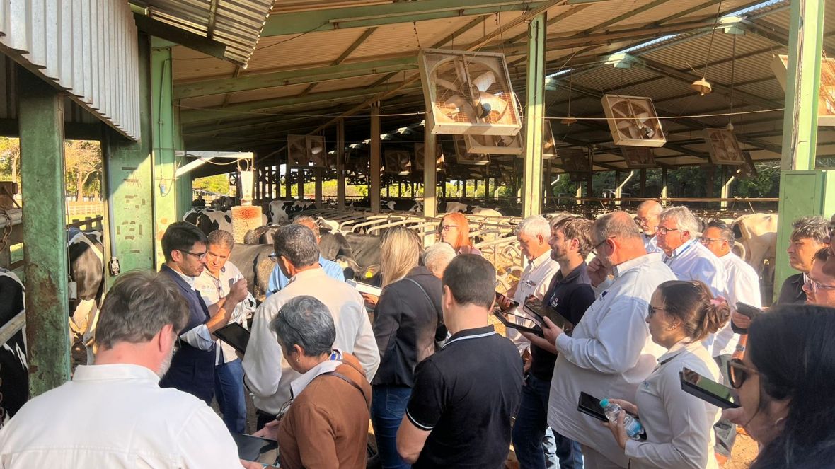 Técnicos de Campo da ABCZ que farão a coleta de dados de mensuração linear passam por capacitação durante a 16ª ExpoGenética