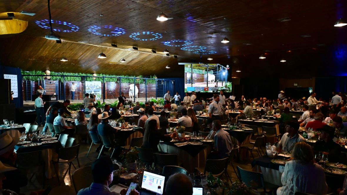 Leilões da 18ª ExpoGenética ultrapassam R$ 66 milhões em vendas