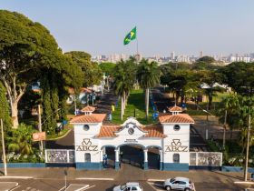 Com crescimento de 72,2% no faturamento em leilões, ABCZ comemora sucesso da 17ª ExpoGenética