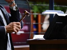 Leilões da 17ª ExpoGenética já movimentaram mais de R$ 31 milhões