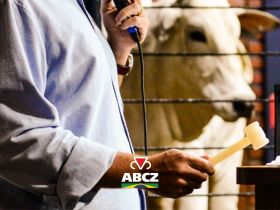 Leilões e shoppings da 19ª ExpoGenética começam a partir de 11 de agosto