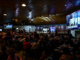 Leilões da 18ª ExpoGenética já movimentaram mais de R$ 104 milhões