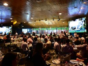 18ª ExpoGenética: leilões oficiais da feira já movimentaram mais de R$ 62 milhões