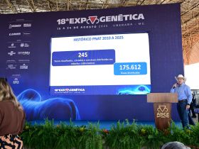 18ª ExpoGenética: confira os touros classificados no PNAT 2025