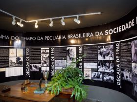 17ª ExpoGenética: projeto Zebu na Universidade começará na segunda-feira (19)