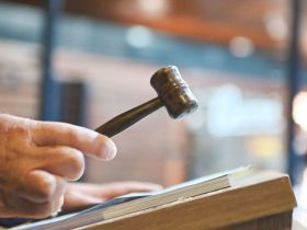 Leilões da 17ª ExpoGenética já movimentaram mais de R$ 61 milhões