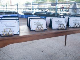 Reconhecimento: ABCZ anuncia homenageados do Mérito ExpoGenética 2025