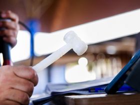 Leilões da 17ª ExpoGenética já movimentaram mais de R$ 72 milhões