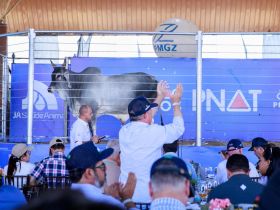 17ª ExpoGenética: 7º Leilão PNAT movimenta R$ 1,5 milhão em Uberaba (MG)