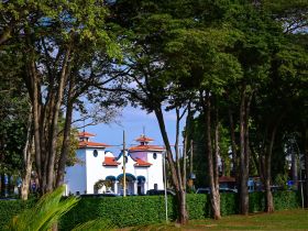 18ª ExpoGenética: conheça a programação desta quinta-feira (21)