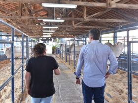 17ª ExpoGenética: melhoramento genético em destaque e pavilhões quase lotados