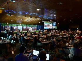 Leilões da 18ª ExpoGenética ultrapassam R$ 66 milhões em vendas