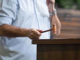 17ª ExpoGenética: programação de leilões segue ofertando muita qualidade para o melhoramento da pecuária